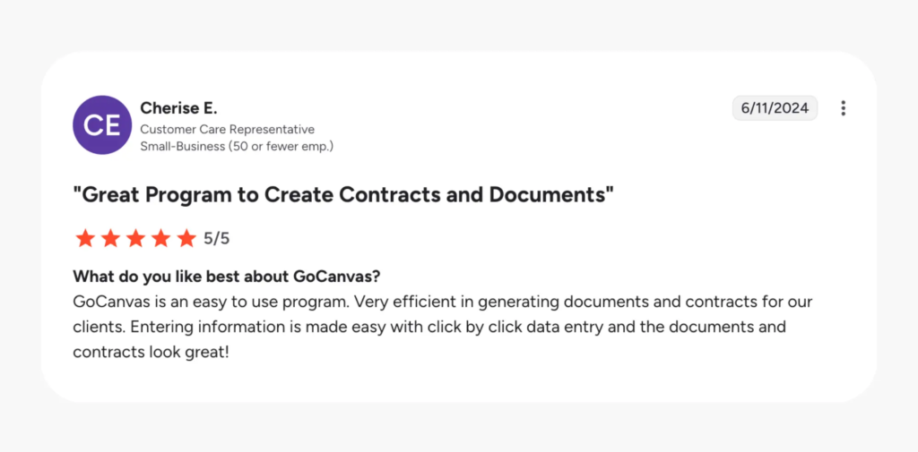 GoCanvas review - core purpose